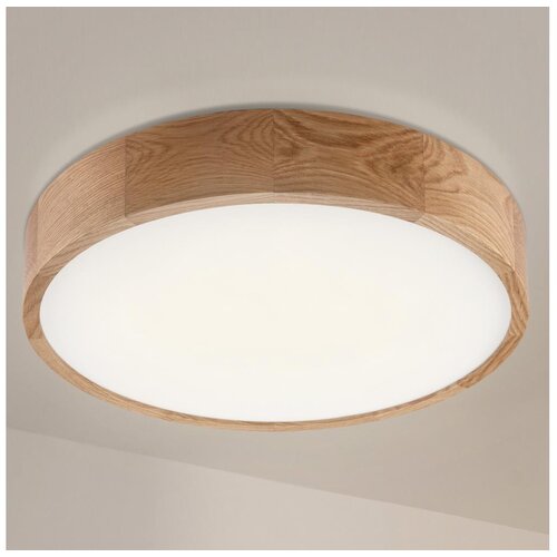  Brilagi - LED plafonjera CARVALHO LED/36W/230V hrast, prečnik 47,5 cm Cene