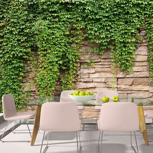  Tapeta - Ivy wall 150x105 Slike