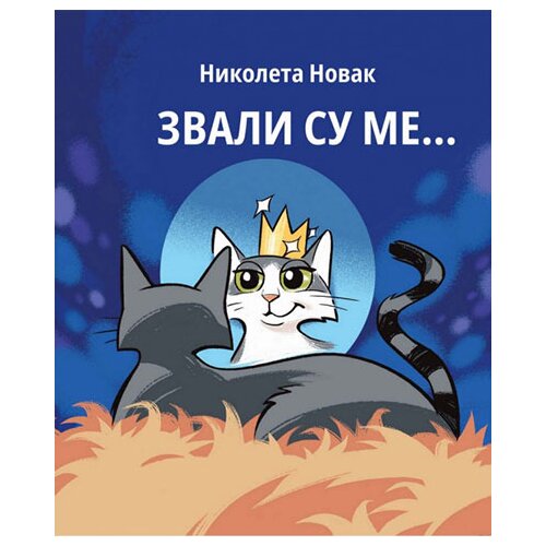 GNB „Žarko Zrenjanin“ Nikoleta Novak
 - Zvali su me... Slike