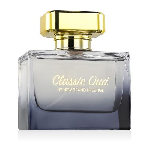 New Brand Parfums Prestige Classic Oud 100 ml parfumska voda za ženske Cene