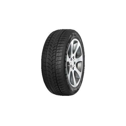 Minerva Frostrack UHP ( 205/40 R18 86V XL ) Slike
