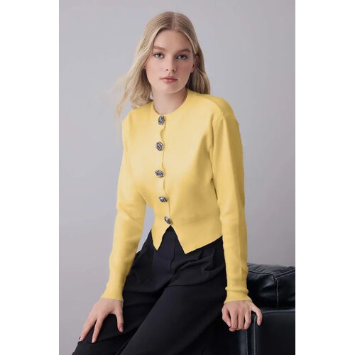 TRENDYOLMILLA Trendyol ženska jakna model Twoaw25Hi00110, žuta Cene