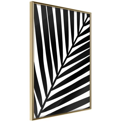  Poster - Black Palm 20x30 Slike