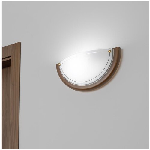  Brilagi - Zidno svetlo ORBIS 1xE27/60W/230V 30 cm borovina Cene