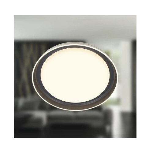 BRILO LED plafonsko svetlo IJUS LED/24W/230V 3000K prečnika 43 cm Slike