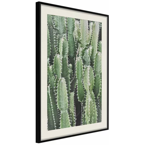  Poster - Cactus Plantation 20x30