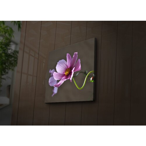 Wallity Slika sa LED osvetljenjem 4040İACT-44, 40x40 cm Cene