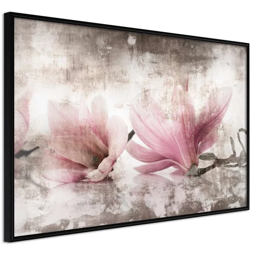  Poster - Picked Magnolias 60x40