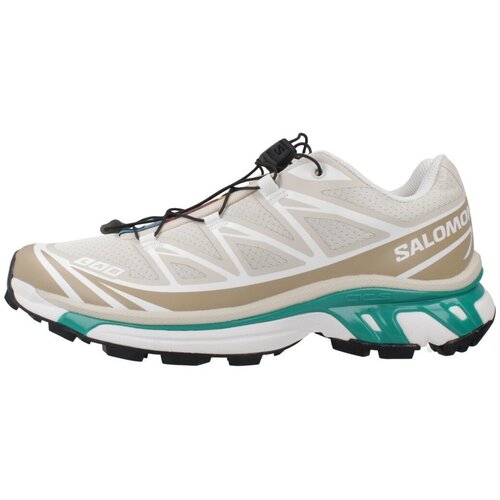 Salomon Advanced XT 6 Smeđa Cijene