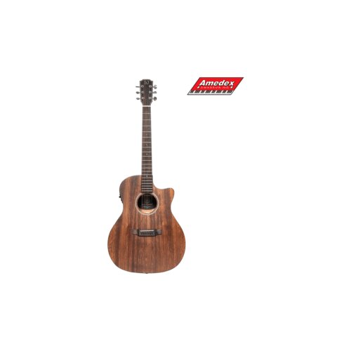  GITARA EL.-AK. James Neligan DOV-ACFI Cijene