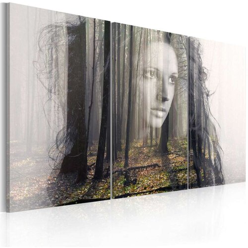  Slika - Forest nymph 90x60 Slike