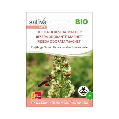 Sativa Bio enoletna roža "Dišeča reseda" Machet "" Cene