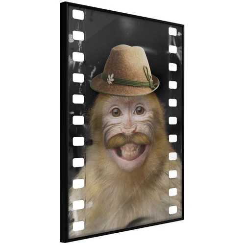  Poster - Dressed Up Monkey 20x30