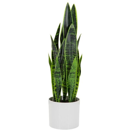 MID.YOU Umetna Rastlina Sansevieria Slike