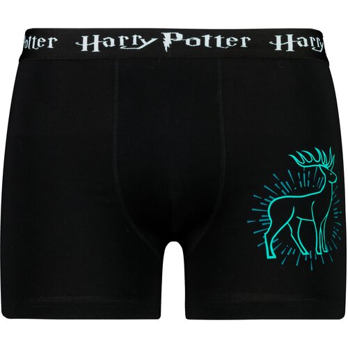 Licensed Men&amp;#039;s boxer Harry Potter - Frogies Slike