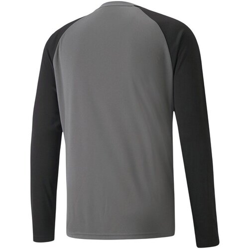 Puma Majice s kratkimi rokavi Teampacer Siva Slike