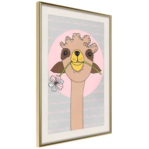  Poster - Cute Llama 20x30