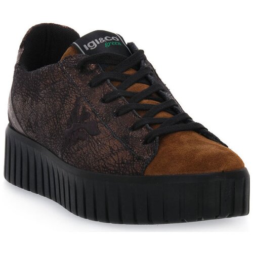 IgI&CO Šport BRONZO ARES Kostanjeva Cene
