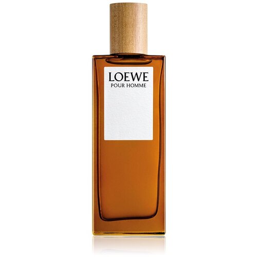 Loewe Pour Homme toaletna voda za muškarce 50 ml Cijene