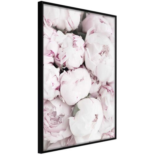  Poster - Girly Dream 40x60 Slike