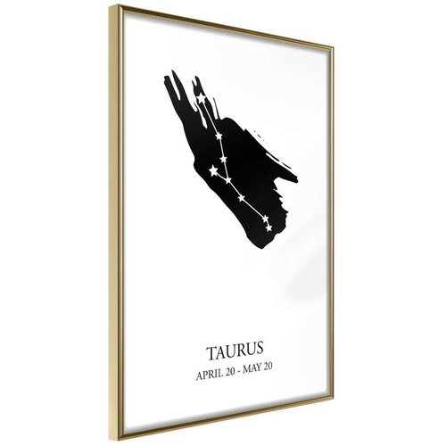  Poster - Zodiac: Taurus I 40x60 Slike