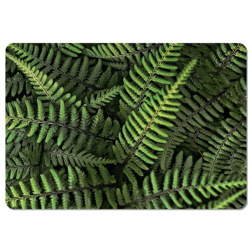 Bertoni Home Unisex's Rectangular Table Pad Ferns Slike