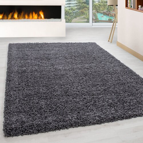  tepih 160x230cm Tamno sivi Cijene