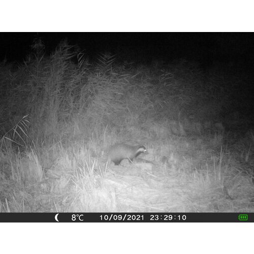 OXE Lovska kamera Gepard II in klasični daljnogled FOMEI 7-21x40 ZCF Zoom + 32GB SD kartica in 4 baterije! Slike