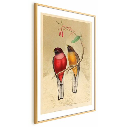 Plakat - Birds on a Branch 40x60 Zlatni okvir s margom Cijene