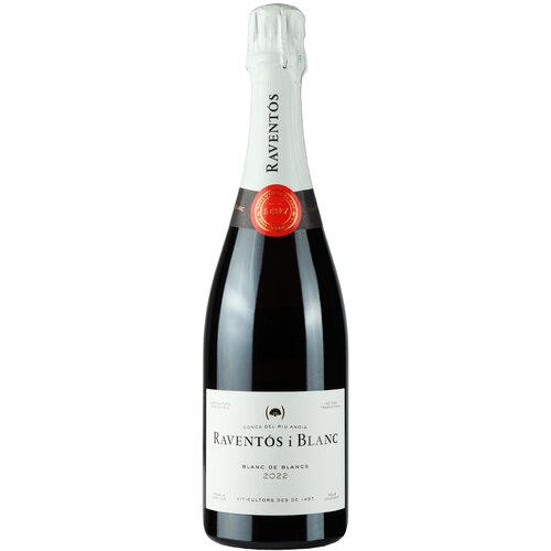 Raventos i Blanc Raventos Blanc de Blancs Cene