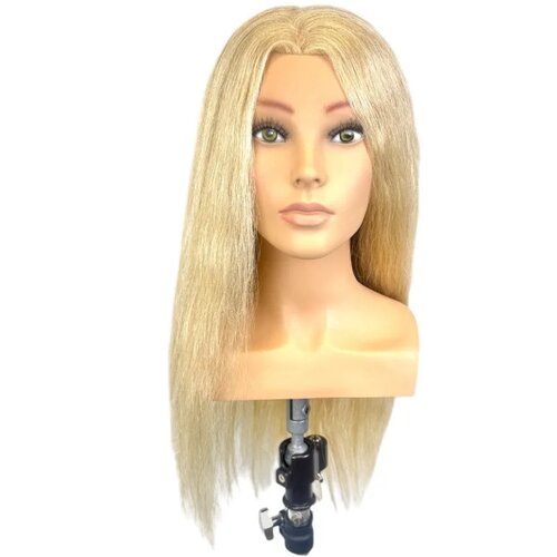  za vježbu i takmičenje L’Image 100% prirodna Plava Fiona – 60 cm Cijene