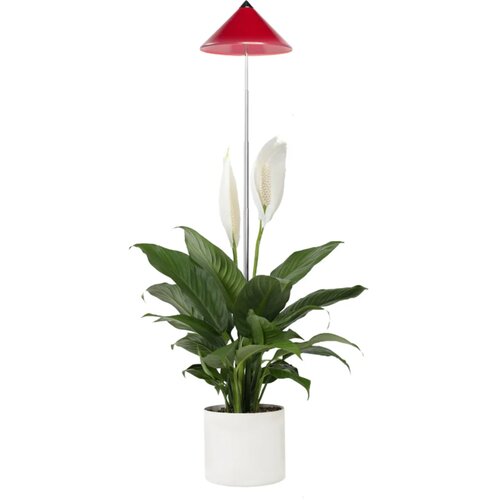 Venso Svetilka SUNLiTE 7W - rdeča Cene