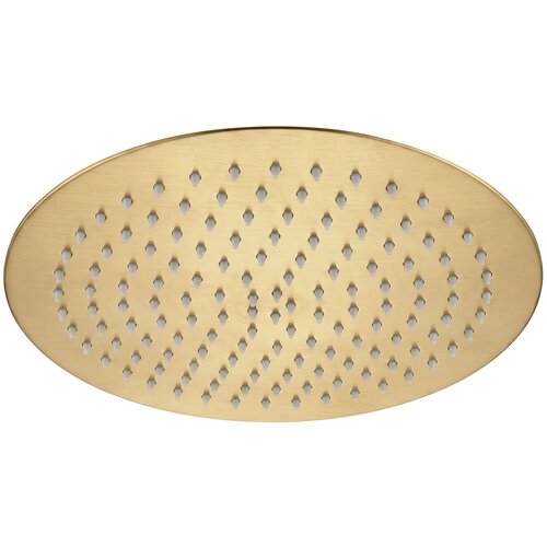 Rea Okrogla tu&scaron; glava JS-P014BG 30cm Brush Gold Cene