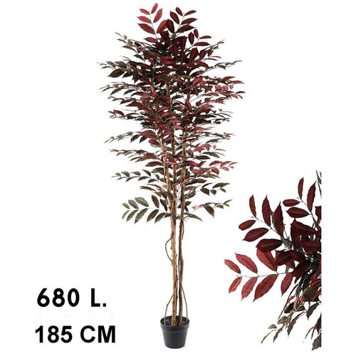Lilium stablo sa crvenim liscem 680 listova, visina 185cm, 567342 Slike