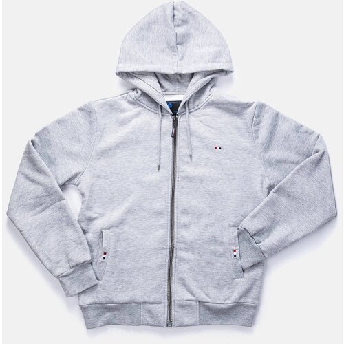 Gemre Light gray men&amp;#039;s hoodie Guerin Slike