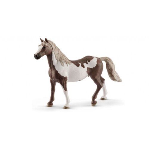 Olimp Sport Paint konj pastuv Cene