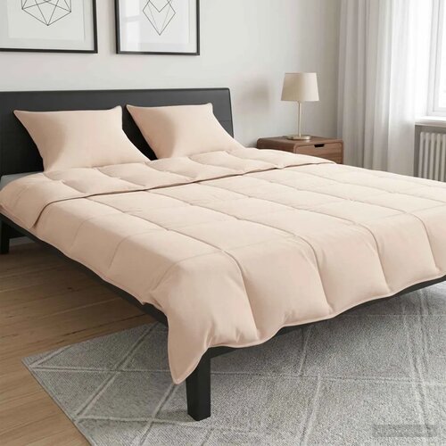  Set deka 2 kom. 260 x 220 cm 250 gsm Prirodni kapok Bež - 260 x 220 cm 50 x 50 cm Cijene