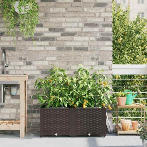  Vrtna saksija 2 pcs Smeđa 80 x 40 x 37,5 cm Plastika Cene