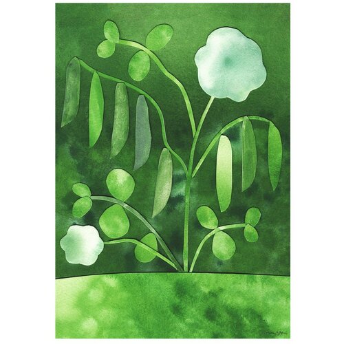 The Poster Club Plakat 50x70 cm Peas in Bloom &ndash; Anna Ravn Bj&oslash;rn &ndash; Cene