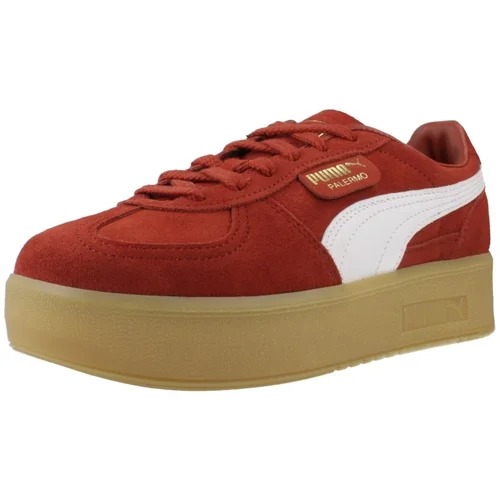 Puma PALERMO ELEVATA WNS Bordo