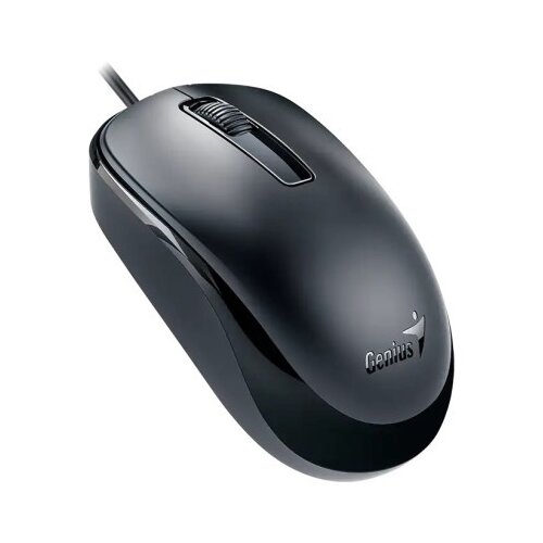 Genius DX-125 Black, USB-C Miš Cene