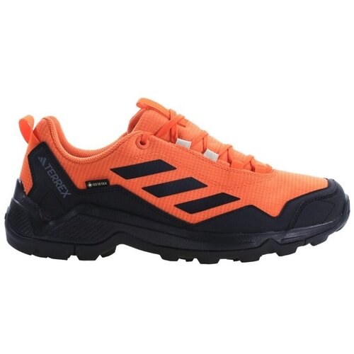 Adidas Terrex Eastrail Gtx sarena Cijene