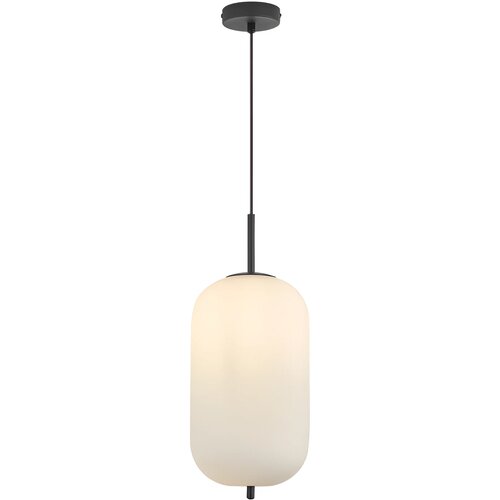 Braytron Visilica E27 Opal/Crni BV01-00101 Cene