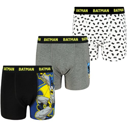 Frogies Boys boxer shorts Batman 3P Cijene