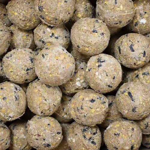 KLASEBO Wildvogelfutter Fettkugeln mit Insekten 200&times;90 g ohne Netz 100 nat&uuml;rliche Zutaten, hoher Energiegehalt, (5000240317) Cene