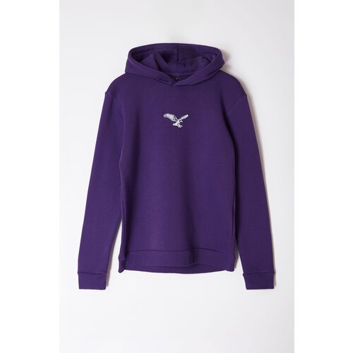 Trendyol Purple Regular/Normal Cut Animal Embroidered Sweatshirt Slike