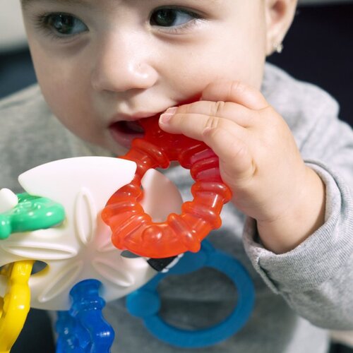 BABY EINSTEIN Ocean Explorers Sea of Sensory Teether Toy grizalo 3 m+ 1 kos Slike