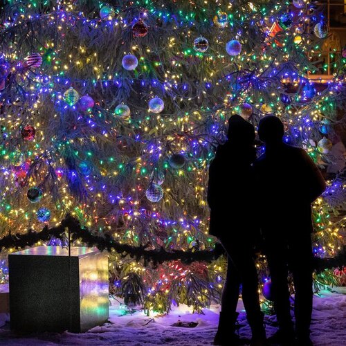  Svjetla za božićno drvce 300 LED dioda, šarena Cene