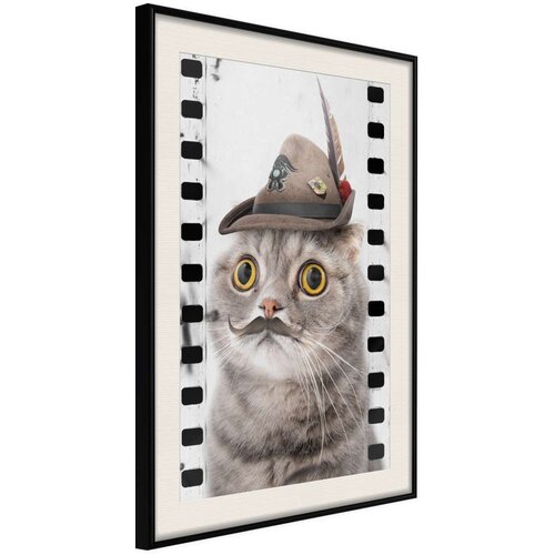  Poster - Dressed Up Cat 40x60 Slike