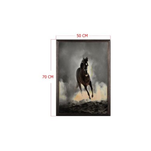 Wallity slika wild horse, 50 x 70 cm Cene
